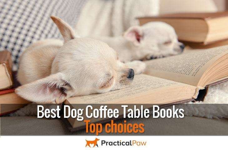 Best Dog Coffee Table Books