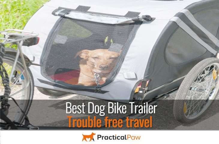 Best dog bike trailer
