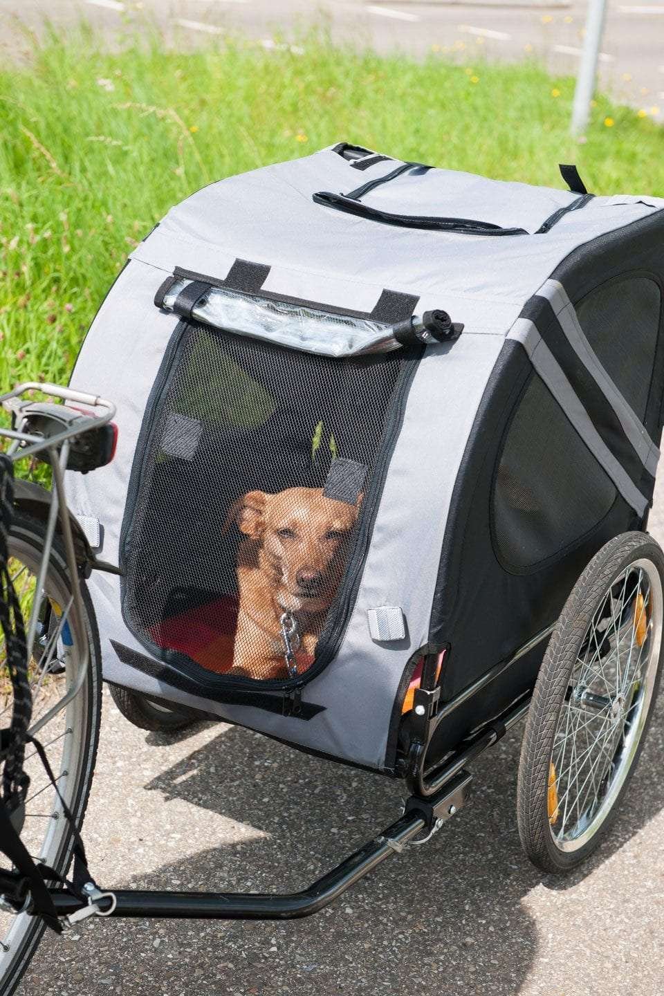 Best-dog-bike-trailer