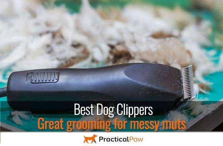Best dog clippers
