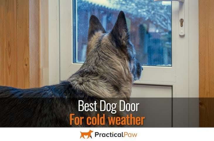 Best dog door for cold weather