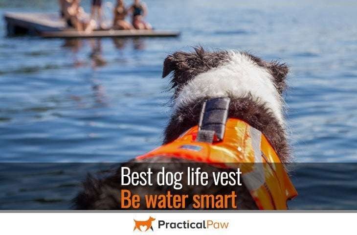 Best dog life vest