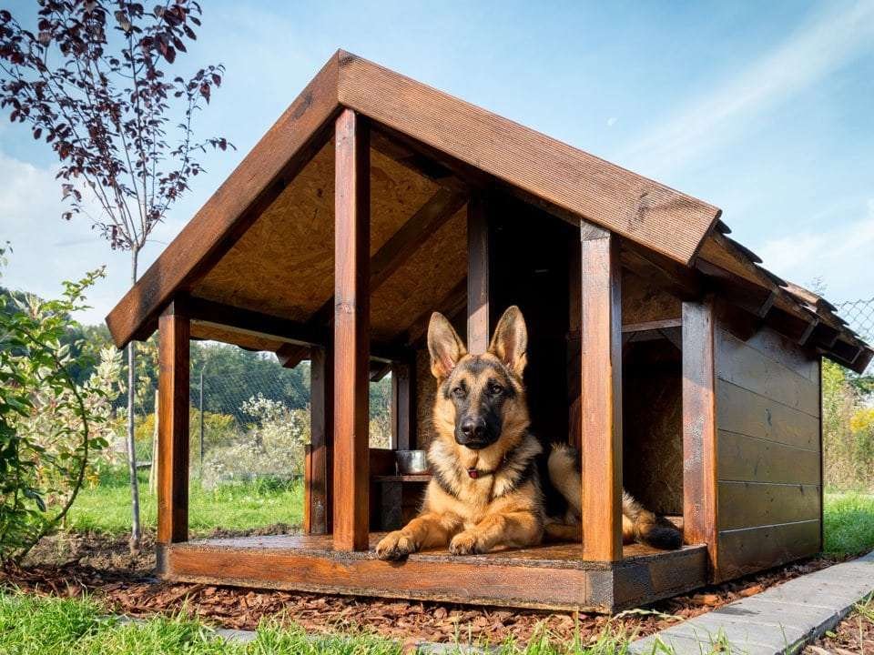 Best insulated dog house for cold weather