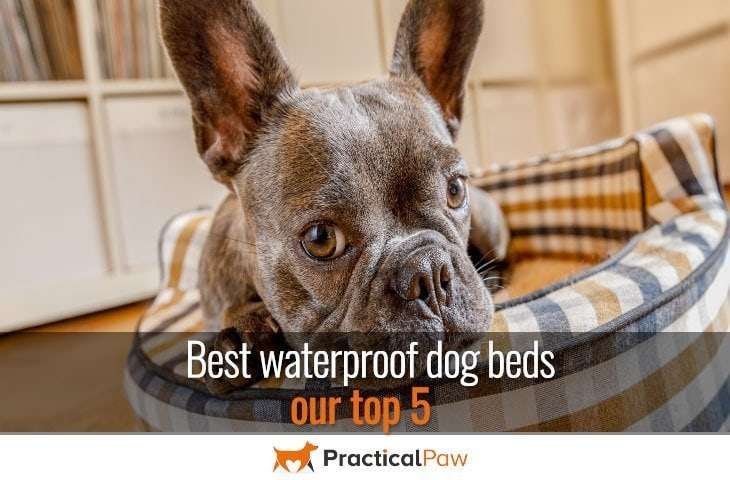 Best waterproof dog beds