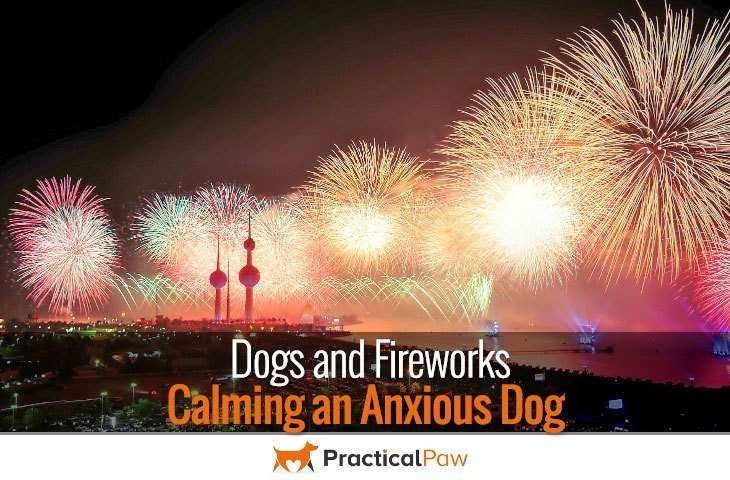 Dogs and Fireworks - Calming an anxious dog
