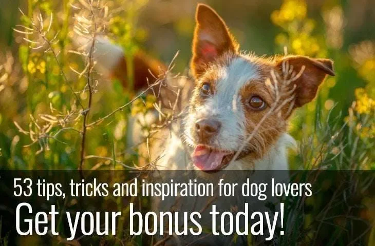 ebook dog lover tips