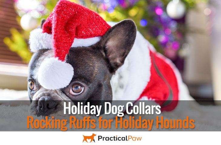 Holiday Dog Collars