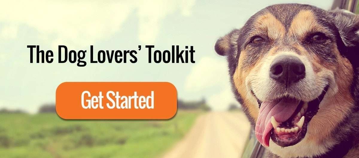 Practical Paw The Dog Lovers Toolkit
