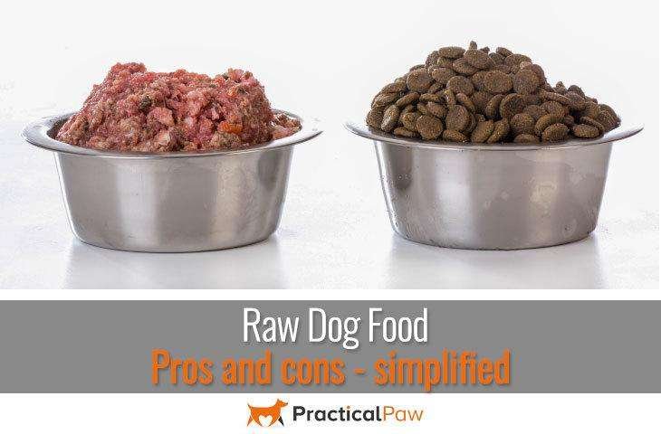 Raw dog food pros and cons