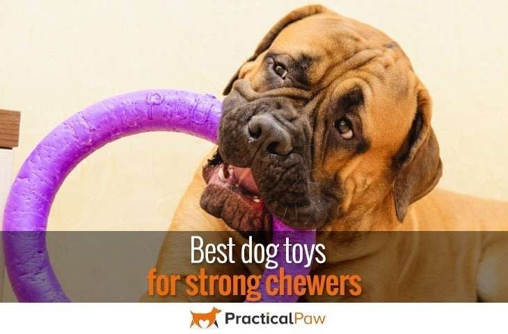 best dog toys for strong chewers