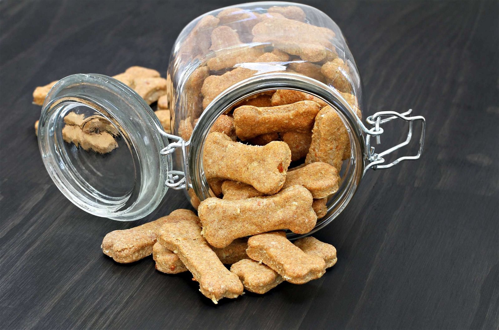 Ginger for dogs biscuits
