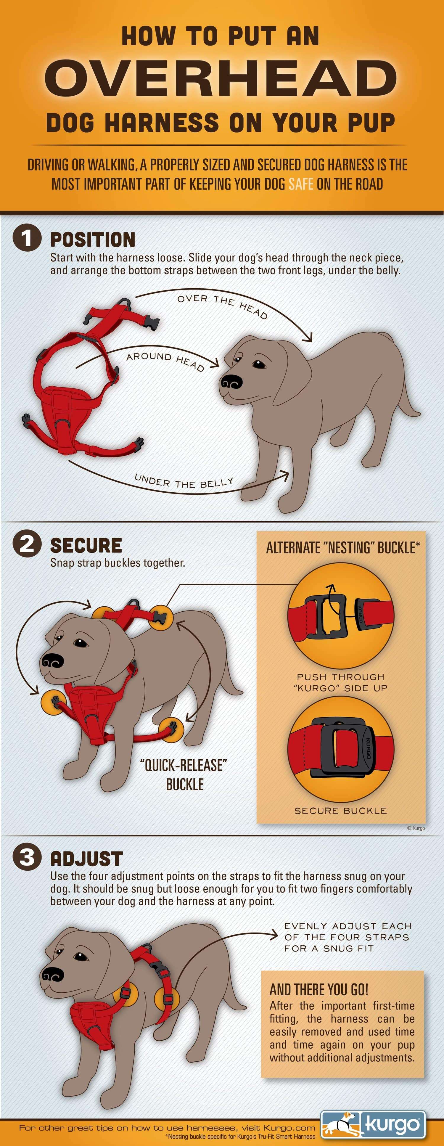 dog harness research