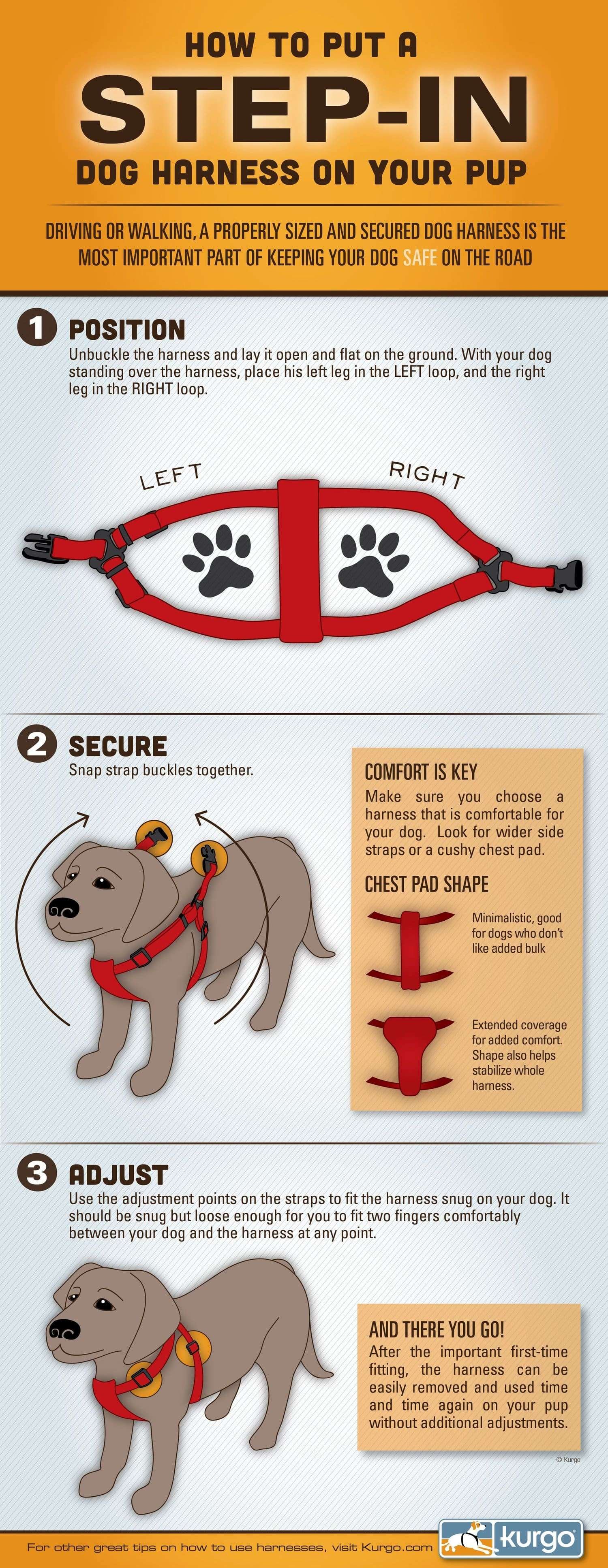 how to fit a step-in harness